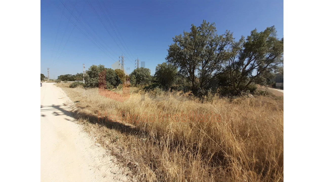 Terreno Agricola ou Rústico para Venda em Pinhal Novo Foto 1