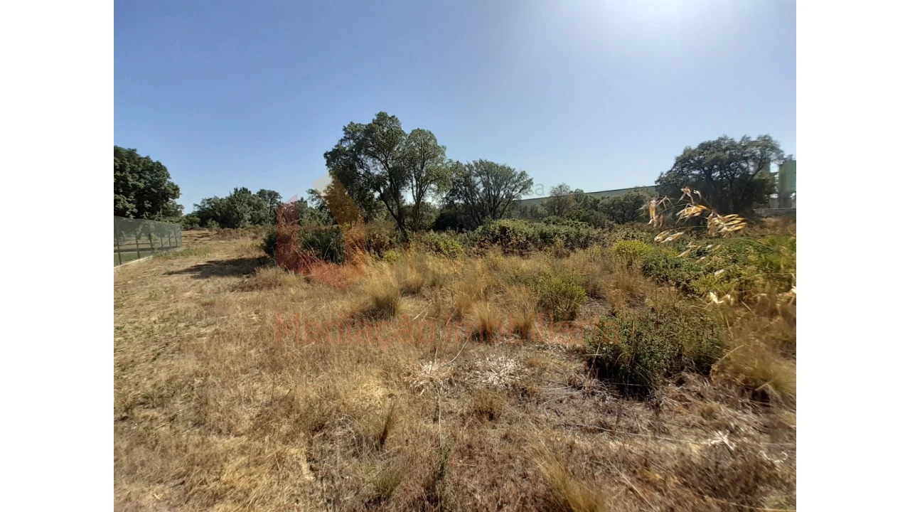 Terreno Agricola ou Rústico para Venda em Pinhal Novo Foto 10