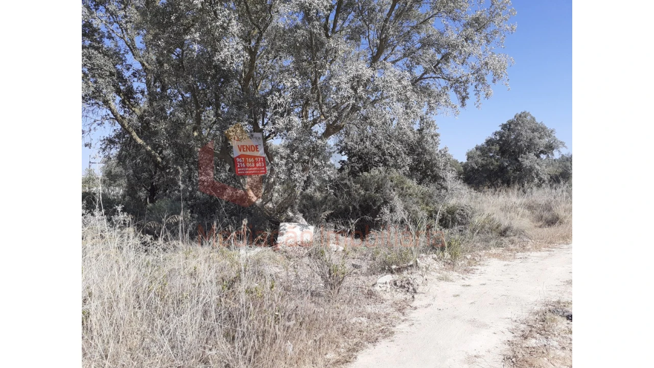 Terreno Agricola ou Rústico para Venda em Pinhal Novo Foto 12