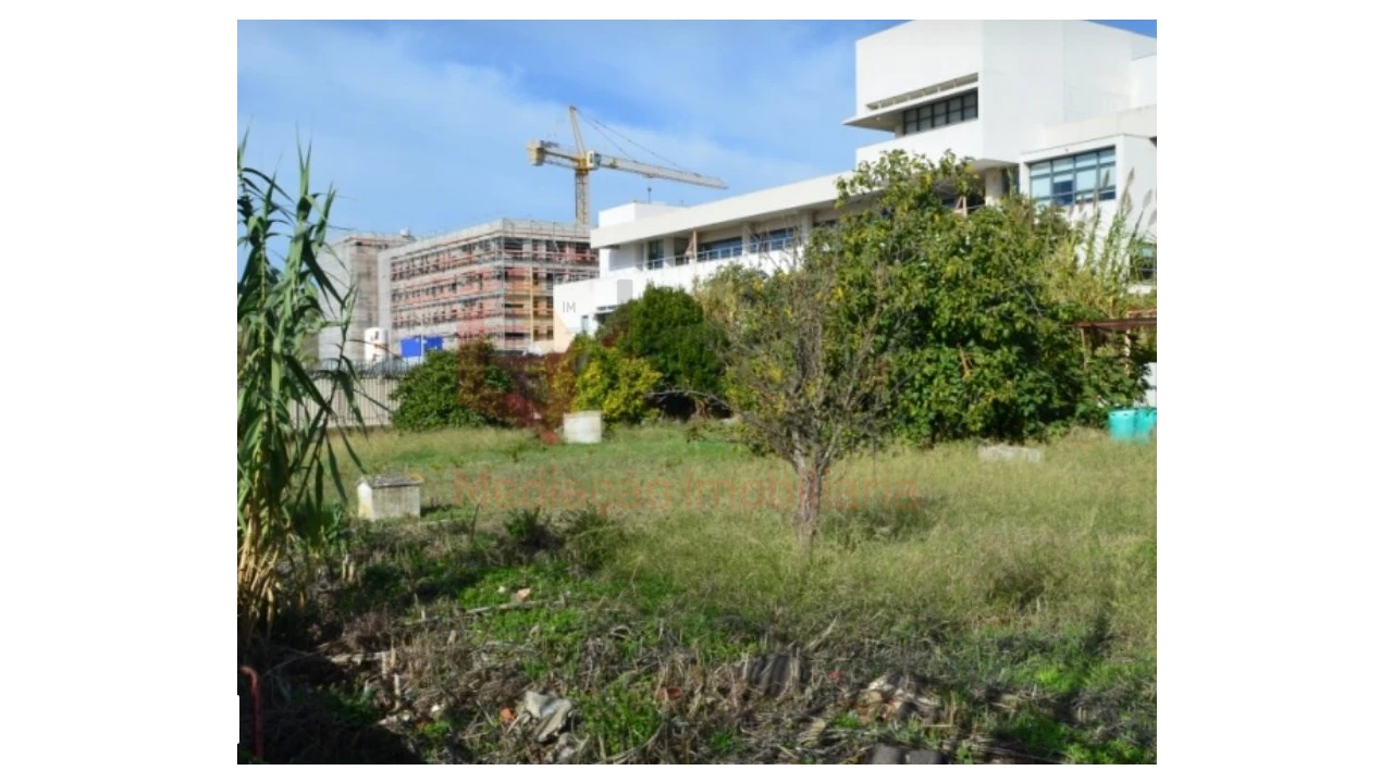 Terreno Agricola ou Rústico para Venda em Ajuda Foto 3