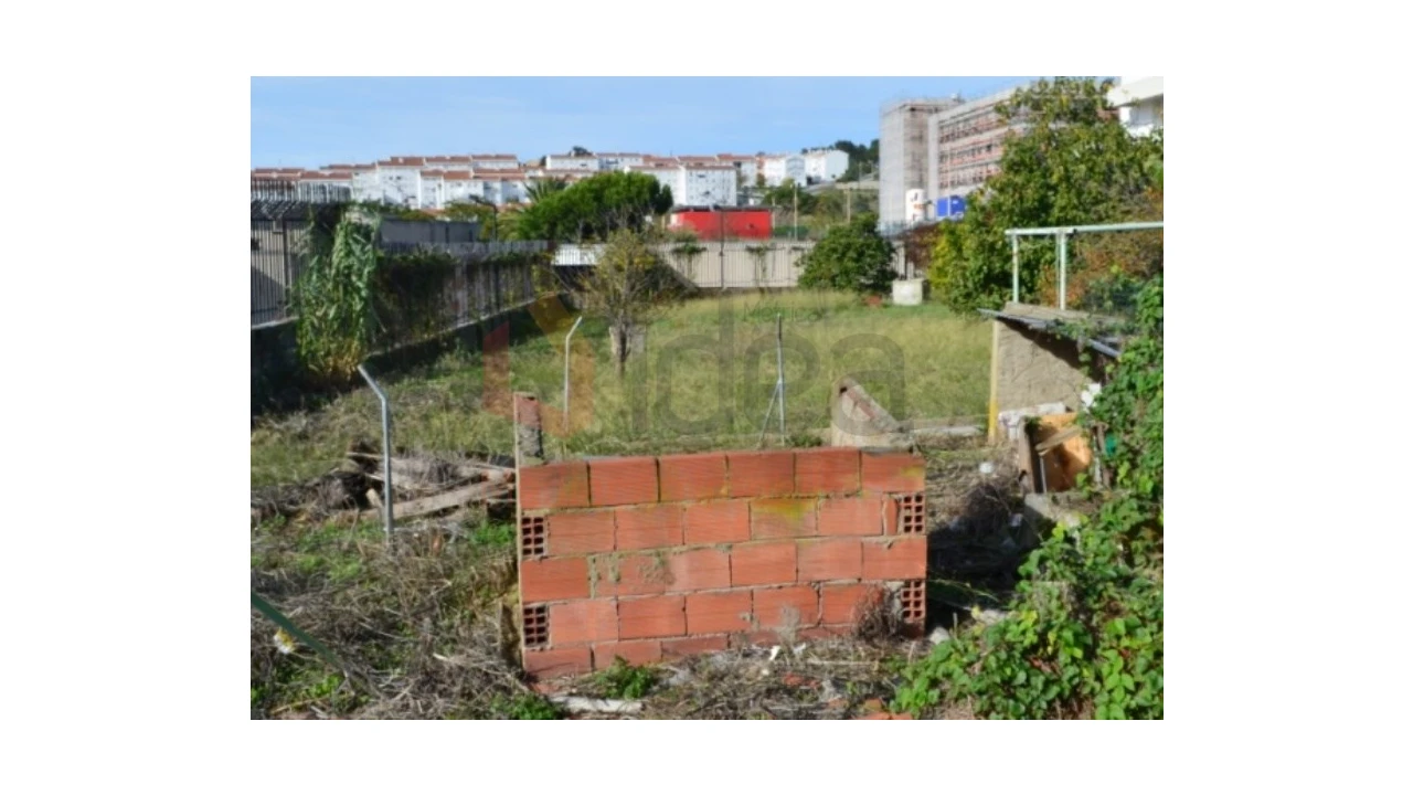 Terreno Agricola ou Rústico para Venda em Ajuda Foto 14