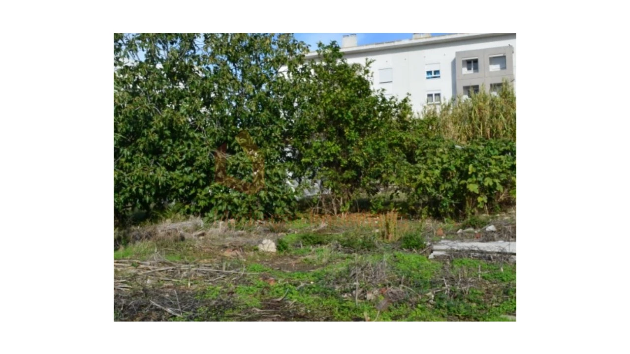 Terreno Agricola ou Rústico para Venda em Ajuda Foto 12