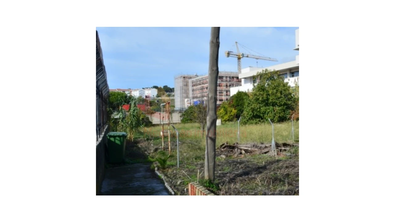 Terreno Agricola ou Rústico para Venda em Ajuda Foto 8