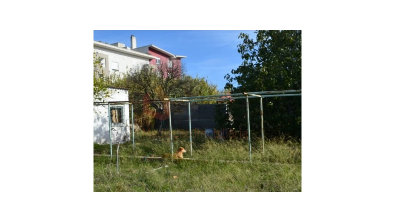 Terreno Agricola ou Rústico para Venda em Ajuda Foto 10