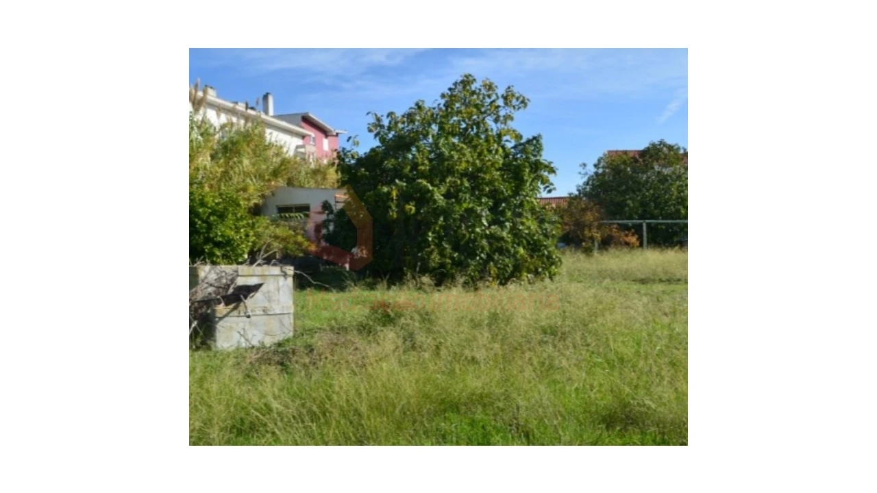 Terreno Agricola ou Rústico para Venda em Ajuda Foto 11
