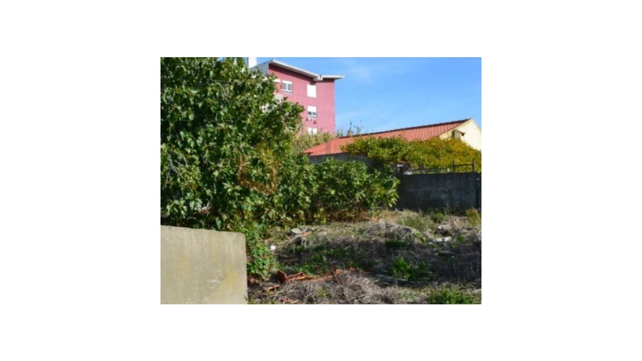 Terreno Agricola ou Rústico para Venda em Ajuda Foto 15