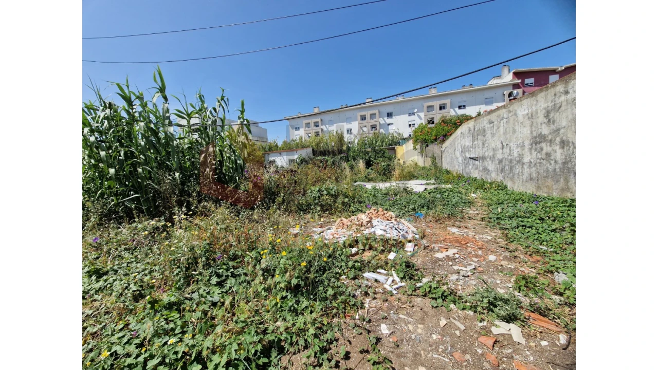 Terreno Agricola ou Rústico para Venda em Ajuda Foto 4