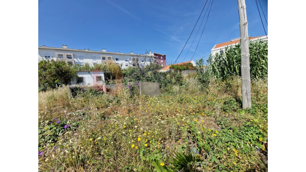 Terreno Agricola ou Rústico para Venda em Ajuda Foto 1