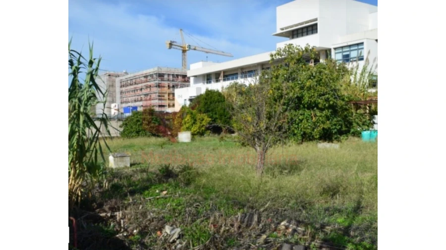 Terreno Agricola ou Rústico para Venda em Ajuda Foto 3