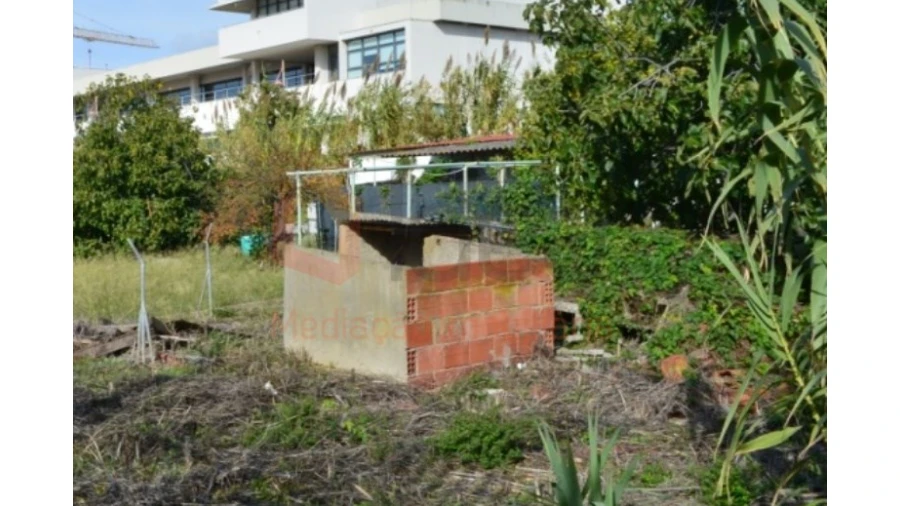 Terreno Agricola ou Rústico para Venda em Ajuda Foto 13