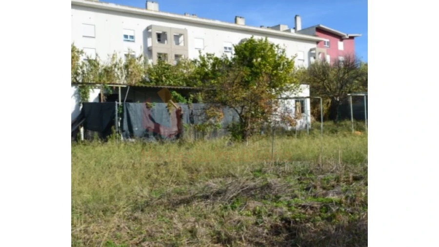Terreno Agricola ou Rústico para Venda em Ajuda Foto 7