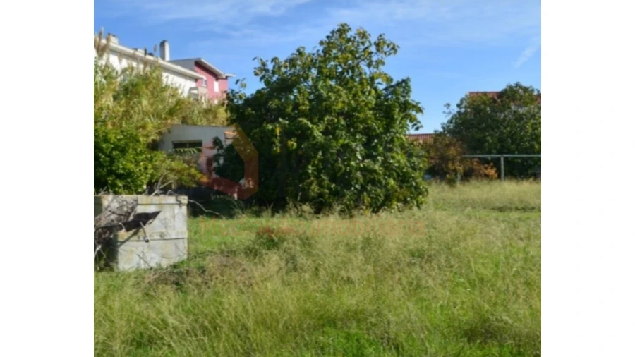 Terreno Agricola ou Rústico para Venda em Ajuda Foto 11