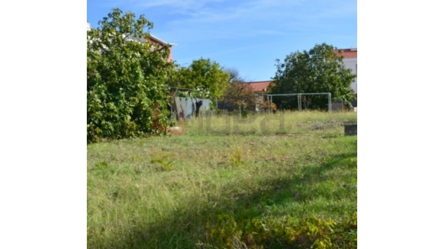 Terreno Agricola ou Rústico para Venda em Ajuda Foto 16