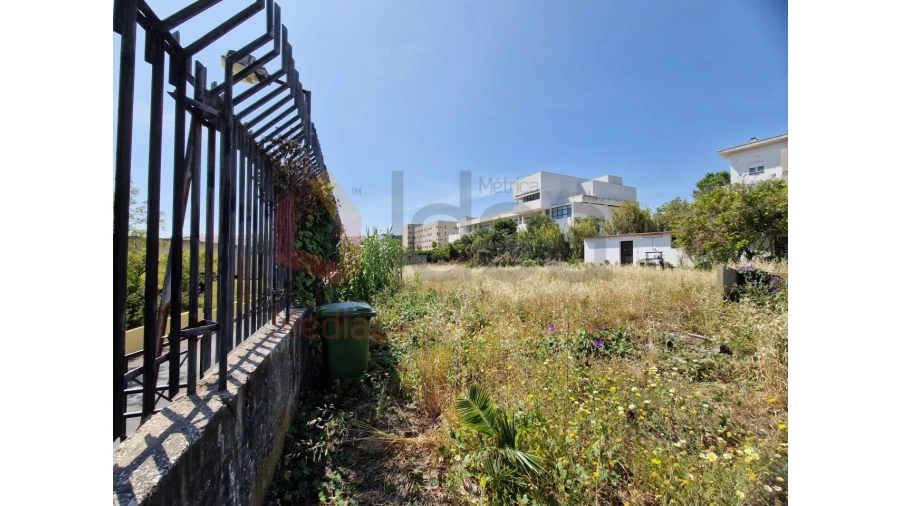 Terreno Agricola ou Rústico para Venda em Ajuda Foto 2