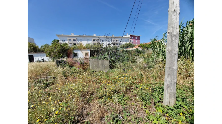 Terreno Agricola ou Rústico para Venda em Ajuda Foto 5