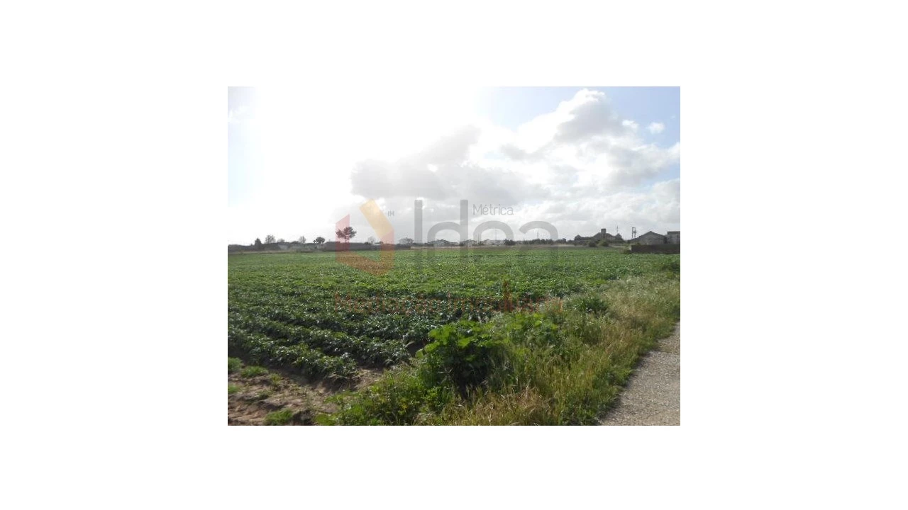 Terreno Misto para Venda em Montijo e Afonsoeiro Foto 4