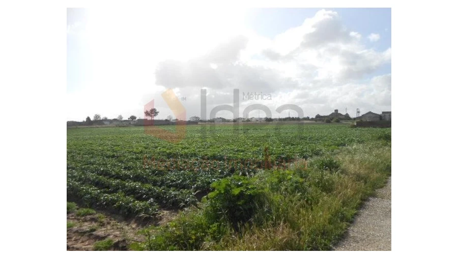 Terreno Misto para Venda em Montijo e Afonsoeiro Foto 4