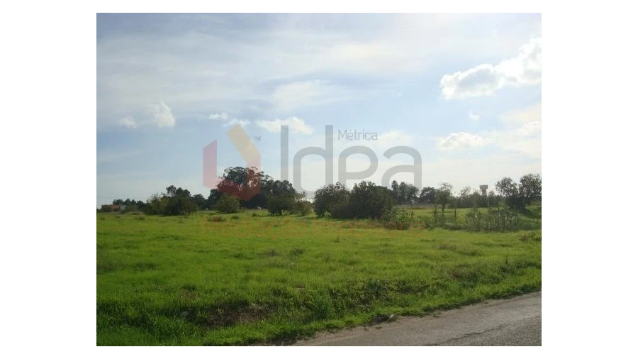 Terreno Misto para Venda em Montijo e Afonsoeiro Foto 6