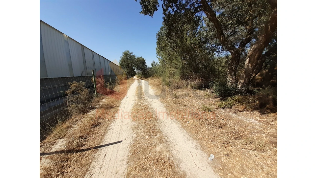 Terreno Agricola ou Rústico para Venda em Pinhal Novo Foto 3