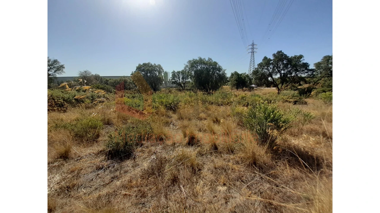 Terreno Agricola ou Rústico para Venda em Pinhal Novo Foto 10