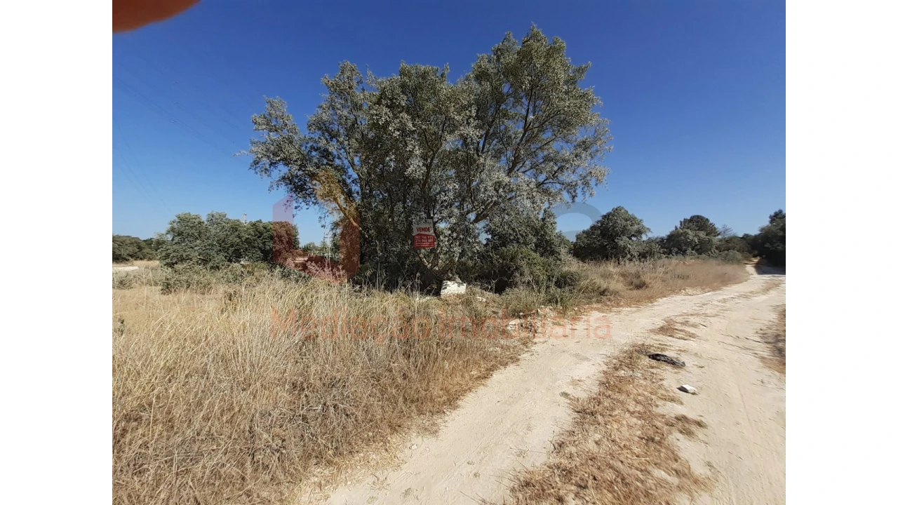 Terreno Agricola ou Rústico para Venda em Pinhal Novo Foto 11