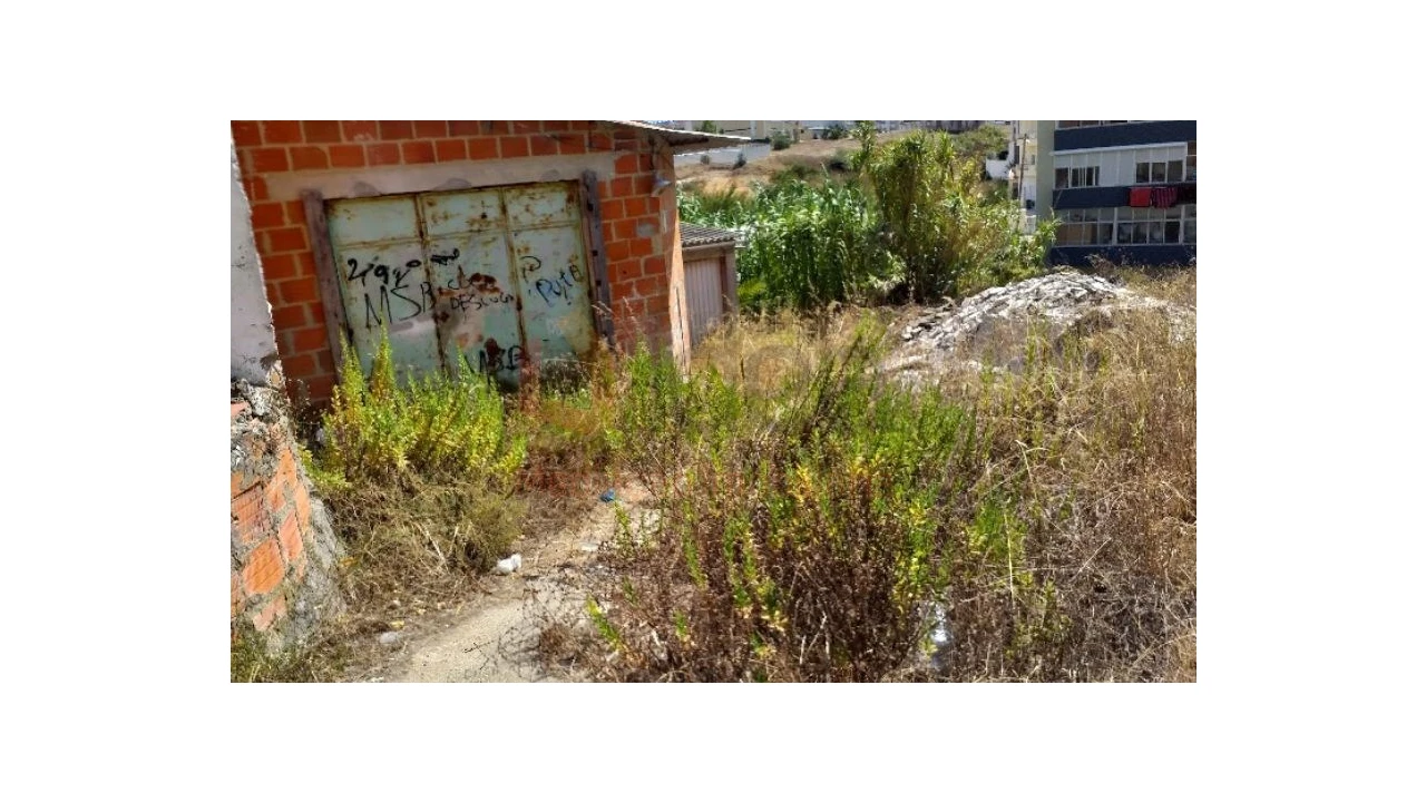 Terreno para Venda em Amora Foto 6