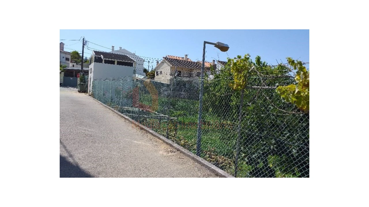 Terreno para Venda em Amora Foto 5