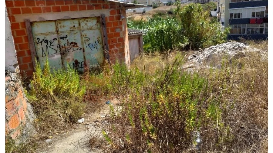 Terreno para Venda em Amora Foto 6