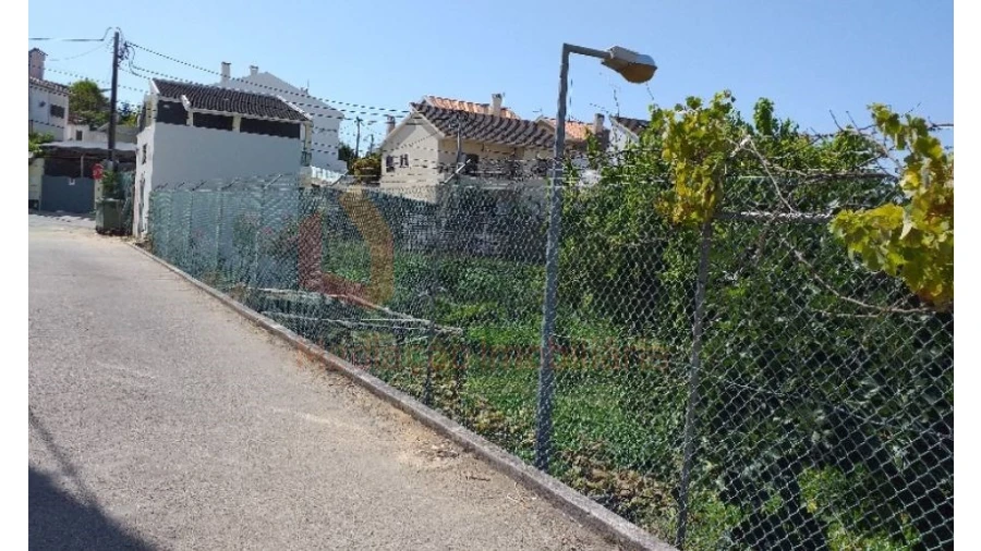 Terreno para Venda em Amora Foto 5