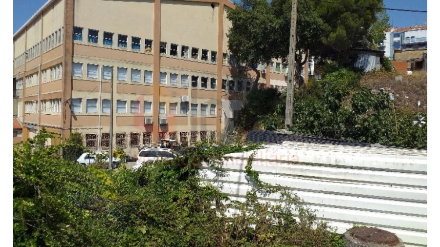 Terreno para Venda em Amora Foto 4