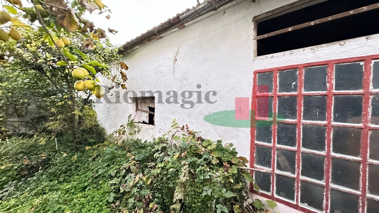 Prédio para Venda em Marmeleira e Assentiz Foto 37