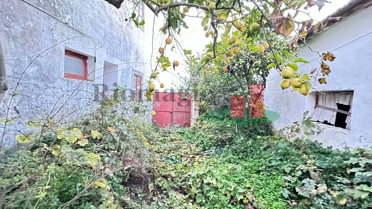 Prédio para Venda em Marmeleira e Assentiz Foto 24