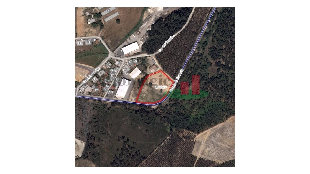 Terreno para Arrendamento em Rio Maior Foto 6