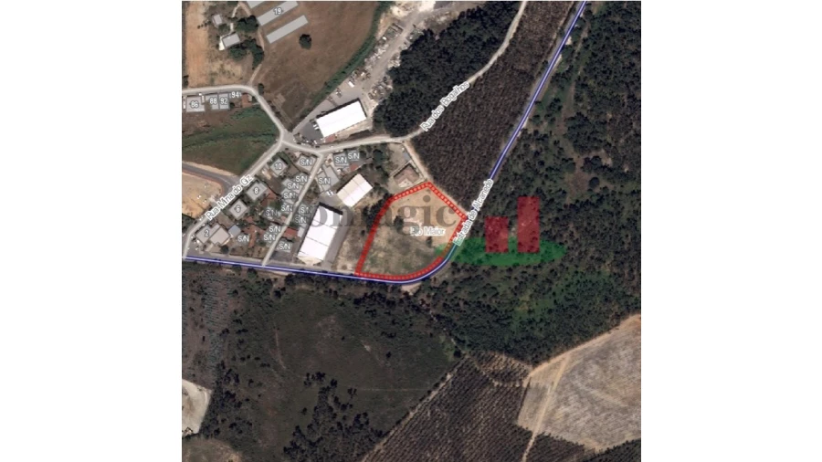 Terreno para Arrendamento em Rio Maior Foto 6