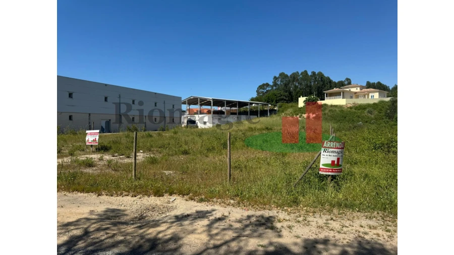 Terreno para Arrendamento em Rio Maior