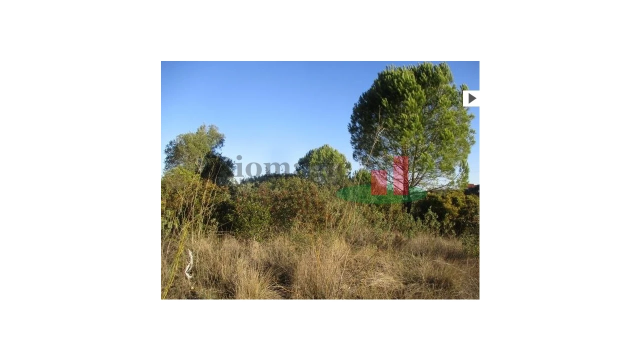 Terreno para Venda em Carregueiros Foto 5