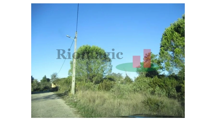 Terreno para Venda em Carregueiros