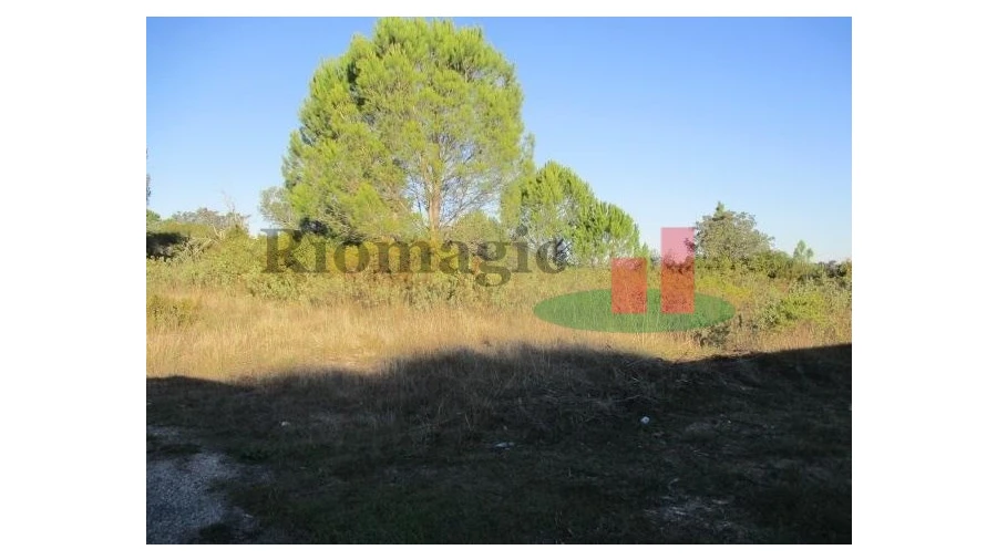 Terreno para Venda em Carregueiros Foto 4