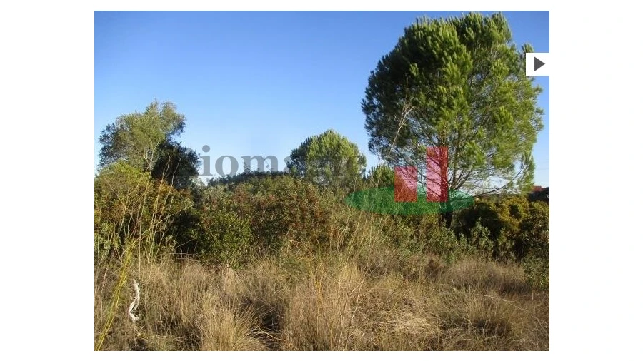 Terreno para Venda em Carregueiros Foto 5