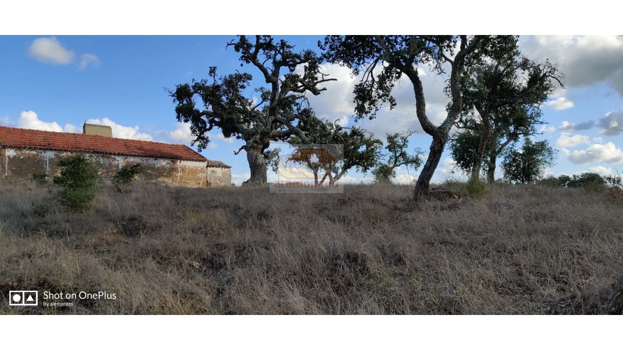 Terreno Misto para Venda em Grândola e Santa Margarida da Serra Foto 6