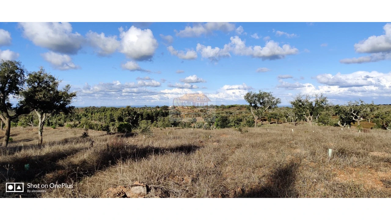 Terreno Misto para Venda em Grândola e Santa Margarida da Serra Foto 7