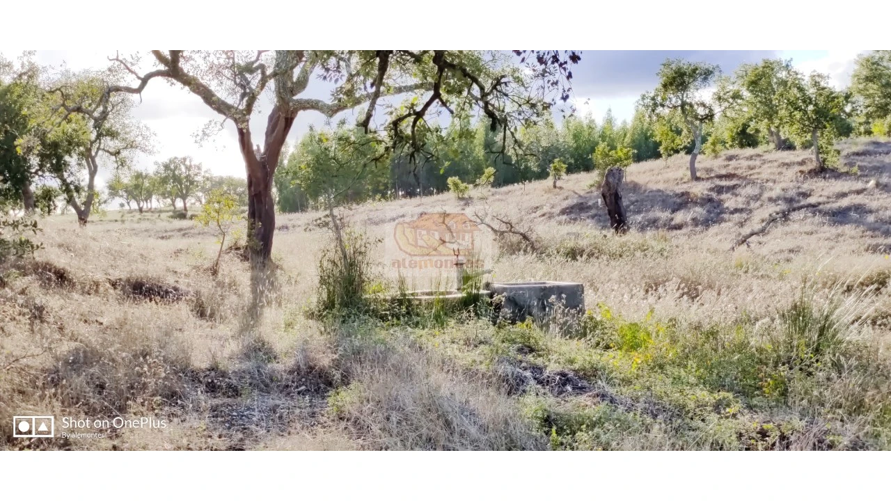Terreno Misto para Venda em Grândola e Santa Margarida da Serra Foto 5