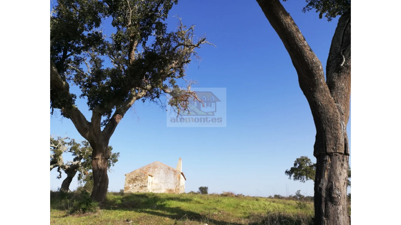 Terreno Misto para Venda em Grândola e Santa Margarida da Serra Foto 1