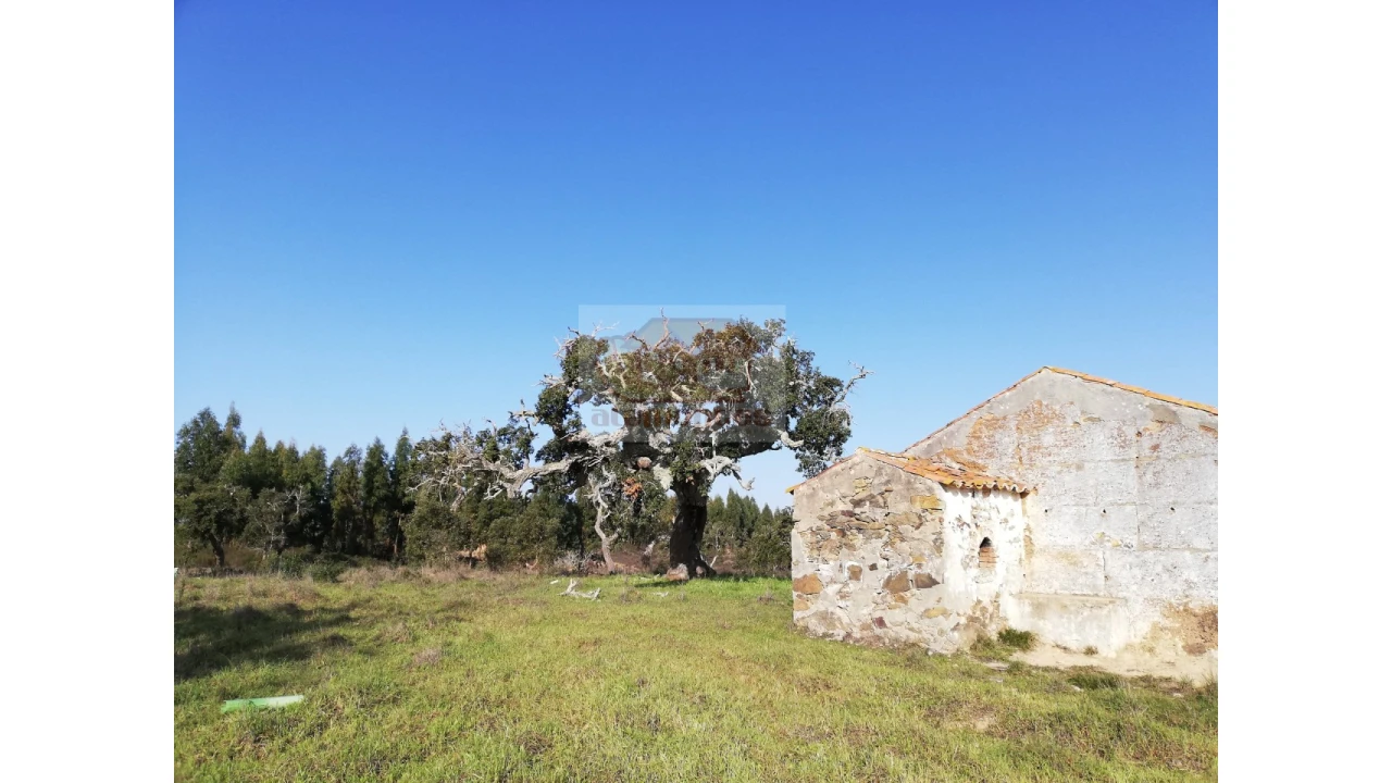 Terreno Misto para Venda em Grândola e Santa Margarida da Serra Foto 2