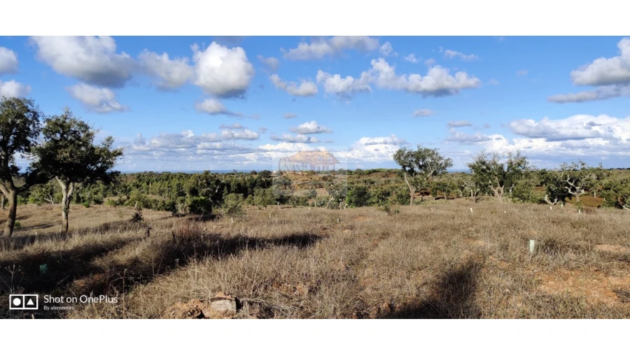 Terreno Misto para Venda em Grândola e Santa Margarida da Serra Foto 7