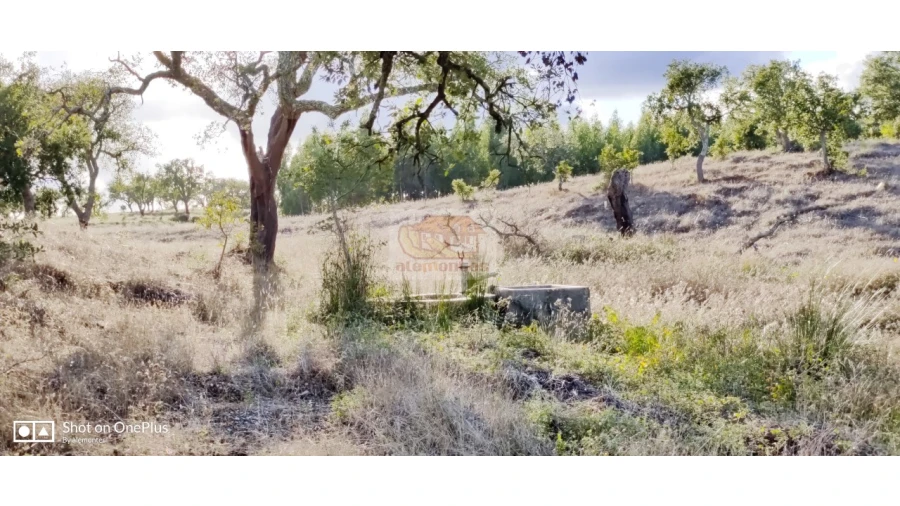 Terreno Misto para Venda em Grândola e Santa Margarida da Serra Foto 5