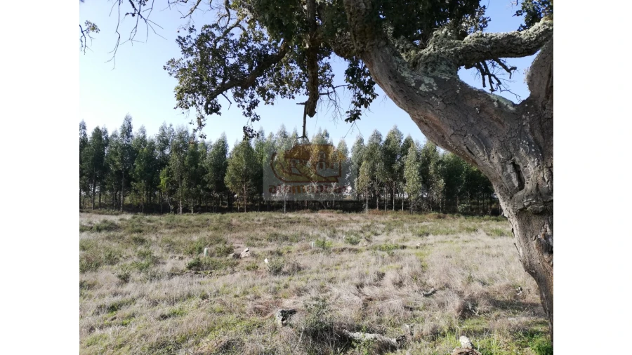 Terreno Misto para Venda em Grândola e Santa Margarida da Serra Foto 12