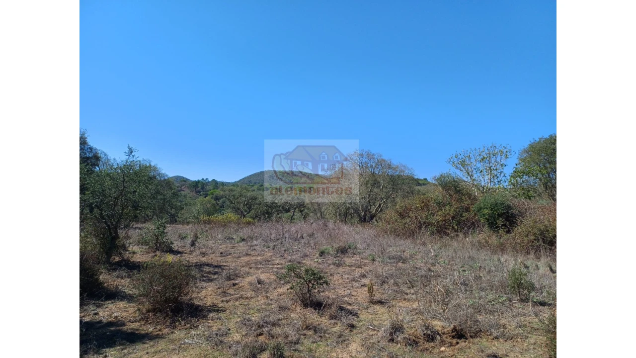 Terreno Misto para Venda em Grândola e Santa Margarida da Serra Foto 6
