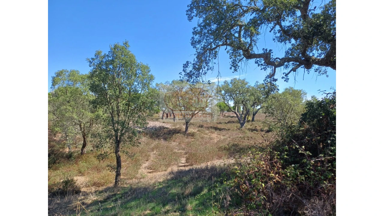 Terreno Misto para Venda em Grândola e Santa Margarida da Serra Foto 5
