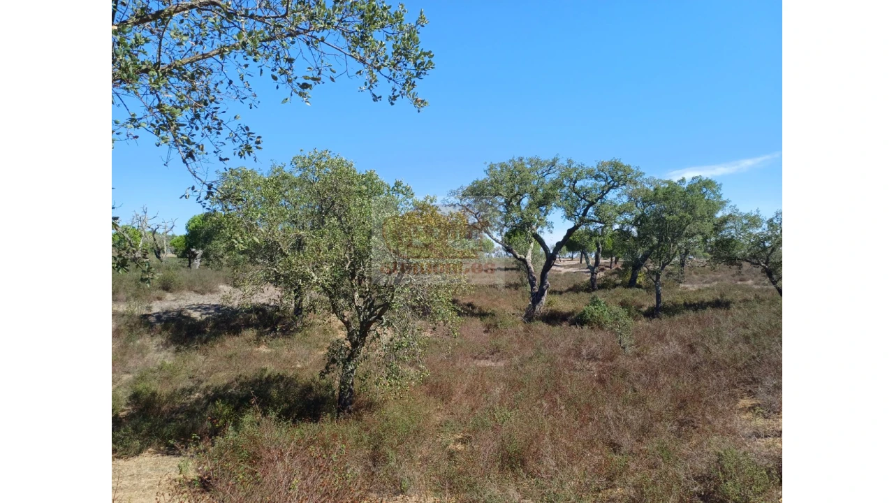 Terreno Misto para Venda em Grândola e Santa Margarida da Serra Foto 8